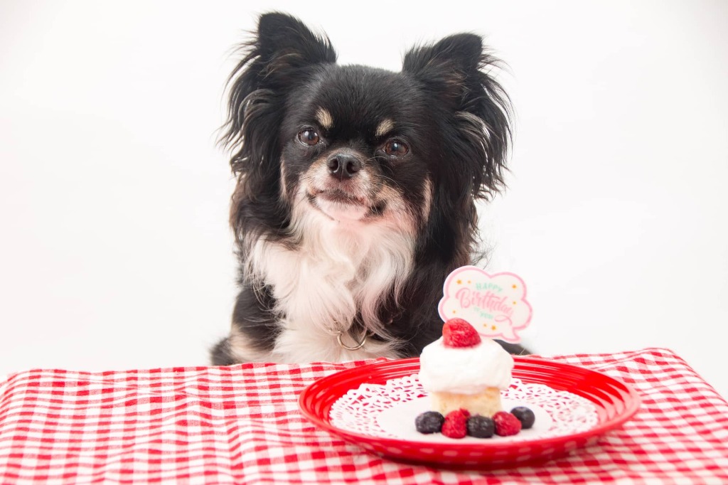 大切な記念日をケーキと共に