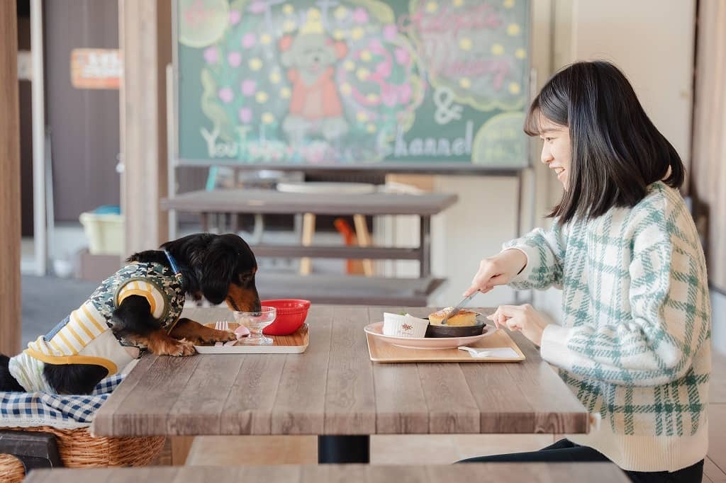 おいしいランチをわんちゃんと一緒に