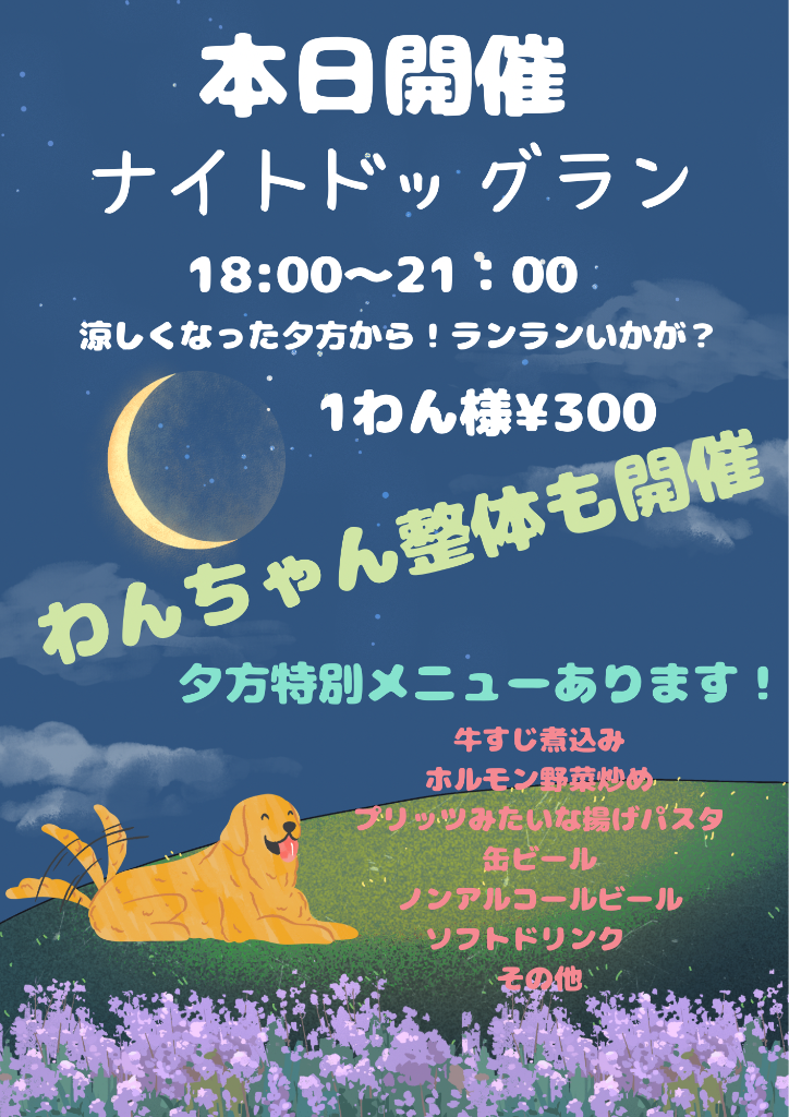 本日開催！夕涼みナイトドッグラン！